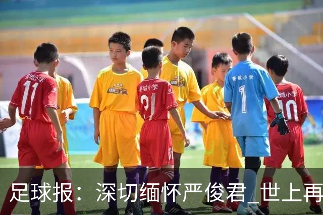 足球报：深切缅怀严俊君 世上再无“严老板”